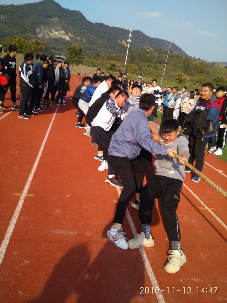 IMG_20181113_144716.jpg