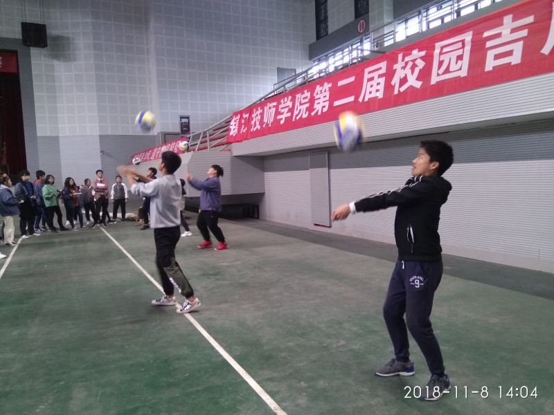 IMG_20181108_140443_BURST1.jpg